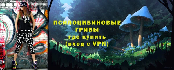 дмт Баксан