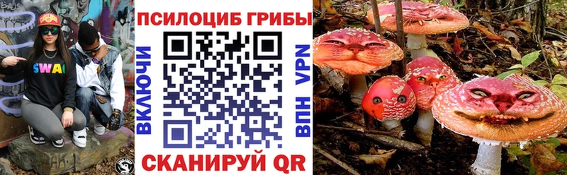 купить  цена  Краснообск  Галлюциногенные грибы мицелий 