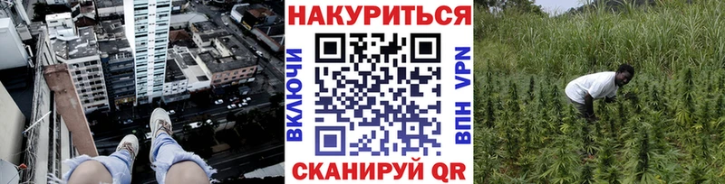 Бошки Шишки ГИДРОПОН  Краснообск 